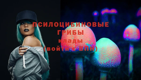 синтетический гашиш Алексеевка