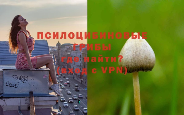 синтетический гашиш Алексеевка